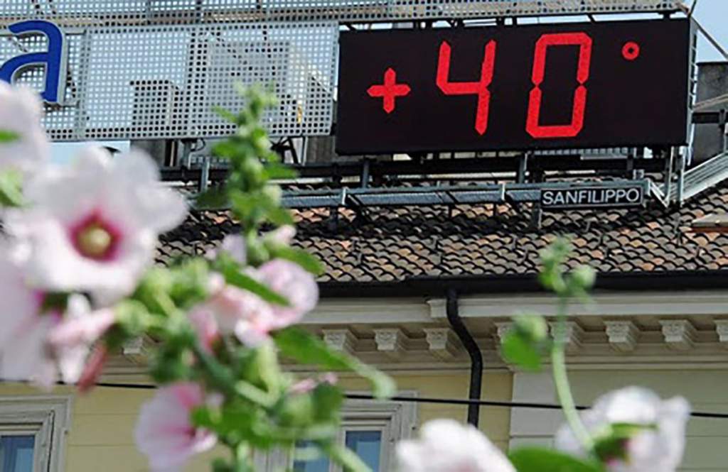 Жару до +40 градусов прогнозируют в июле в Ростовской области